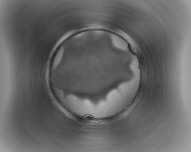 X0000113781142200910141033