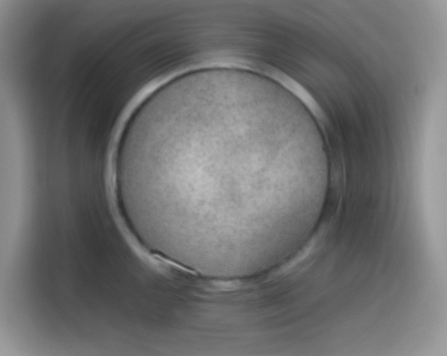 X0000113781144200910141033