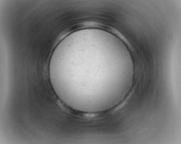 X0000113781145200910141033