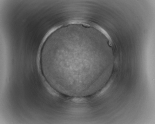 X0000113781146200910141033