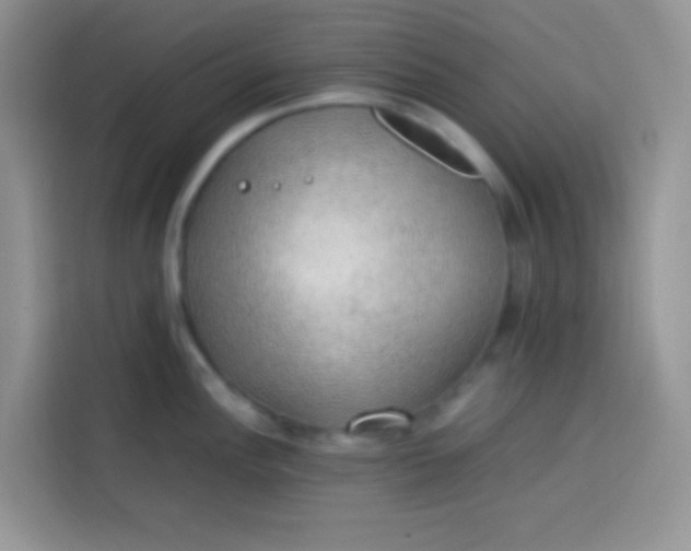 X0000113781148200910141033