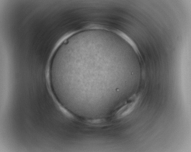 X0000113781149200910141033