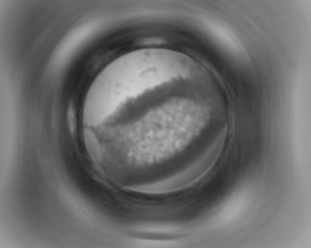 X0000113781151200910141033