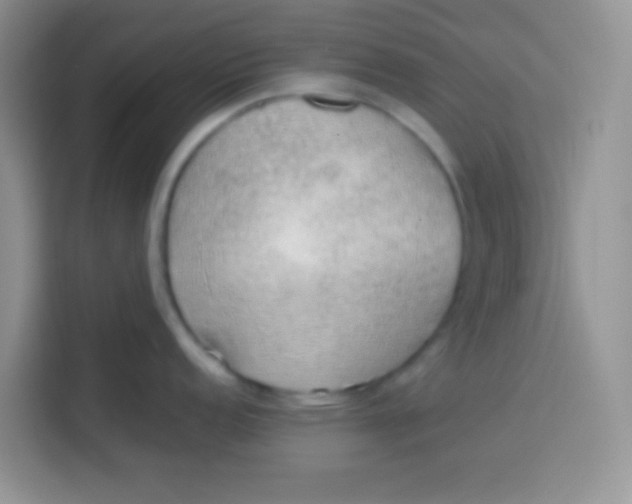 X0000113781152200910141033