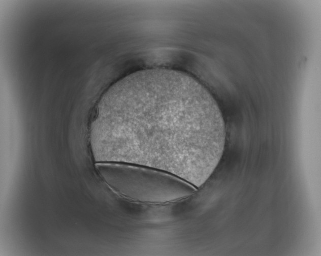 X0000113781153200910141033