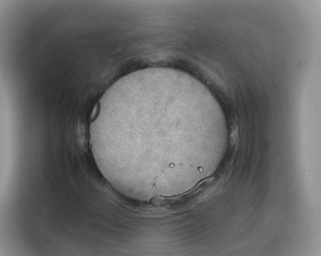 X0000113781156200910141033