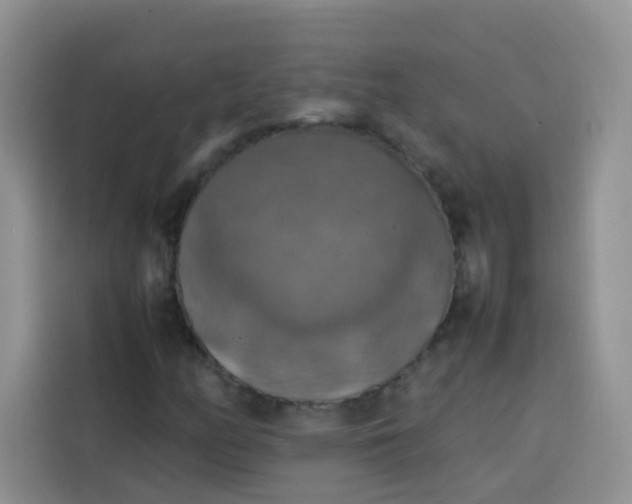 X0000113781158200910141032