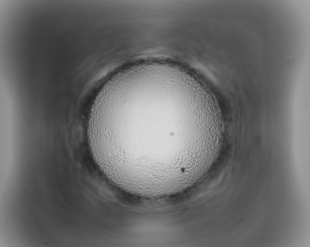 X0000113781159200910141032