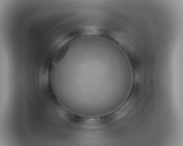 X0000113781161200910141032