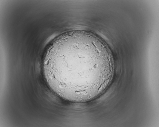 X0000113781163200910141032