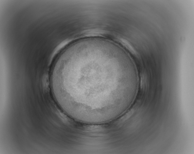 X0000113781164200910141032