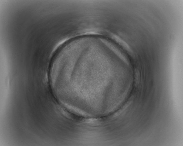 X0000113781166200910141032