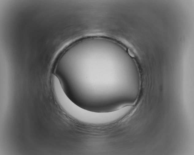 X0000113781167200910141032