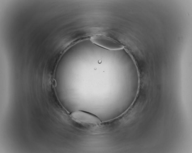 X0000113781169200910141032