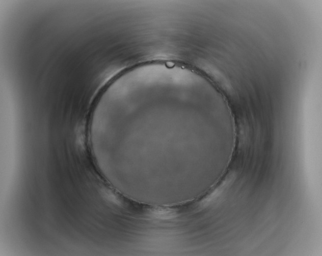 X0000113781170200910141032