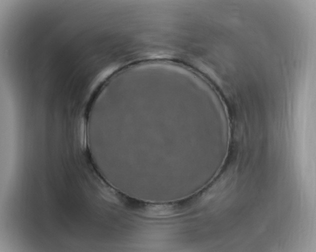 X0000113781171200910141032