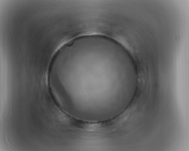 X0000113781173200910141032