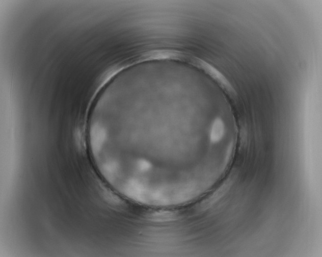 X0000113781178200910141032