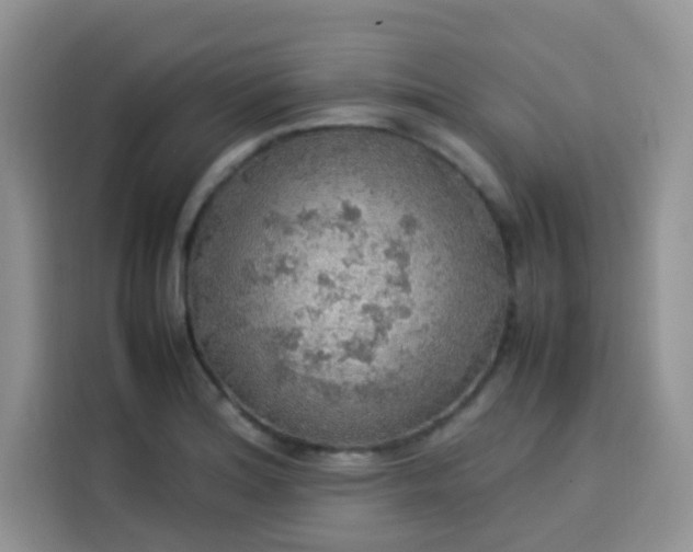 X0000113781180200910141032