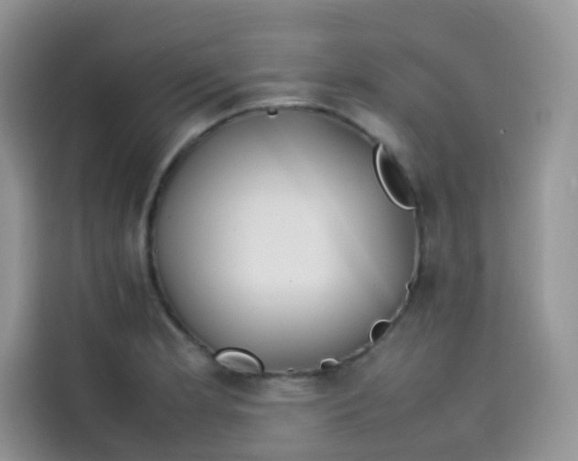 X0000113781181200910141032