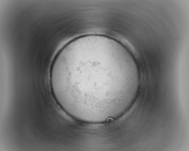 X0000113781184200910141032