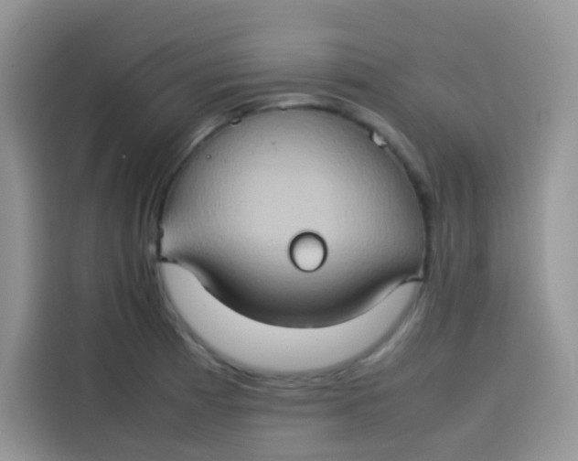 X0000113781185200910141032