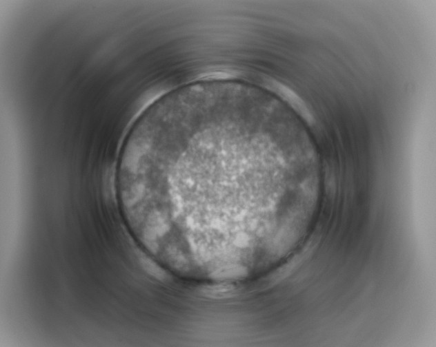 X0000113781186200910141032