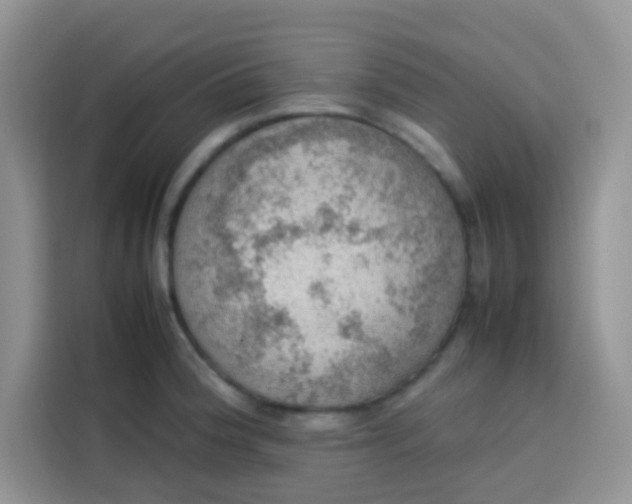 X0000113781188200910141032