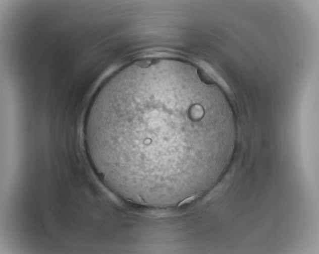 X0000113781189200910141032