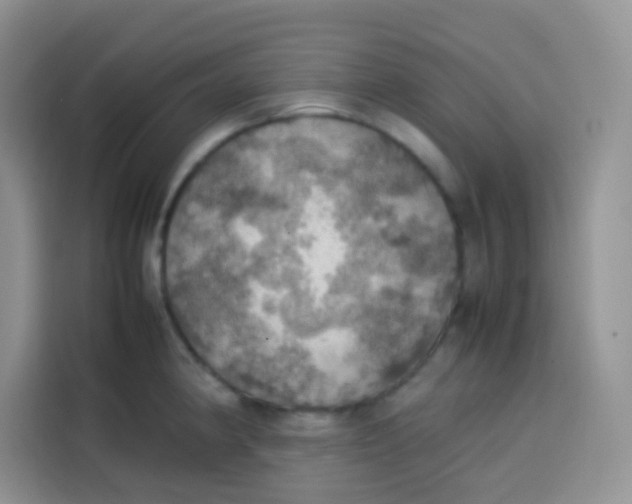 X0000113781190200910141032