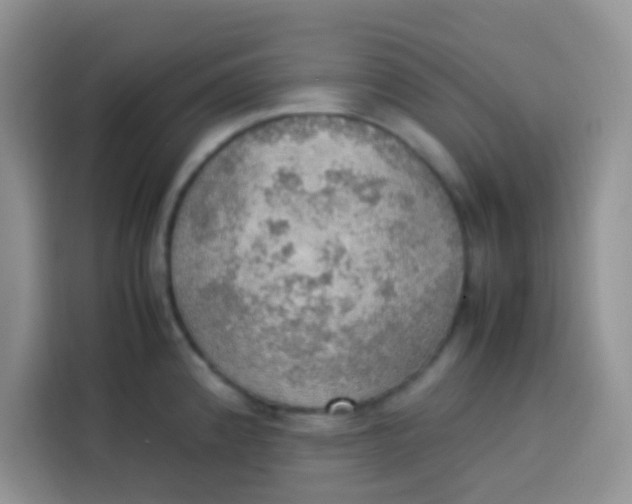 X0000113781192200910141032