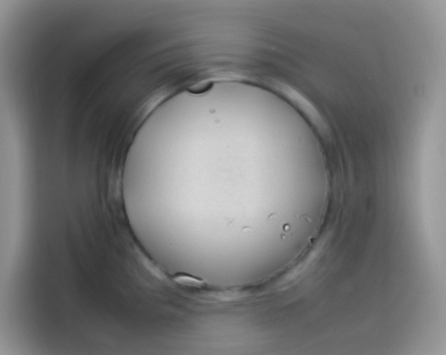 X0000113781193200910141032