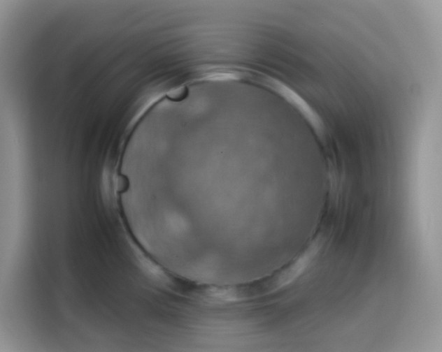 X0000113781194200910141032