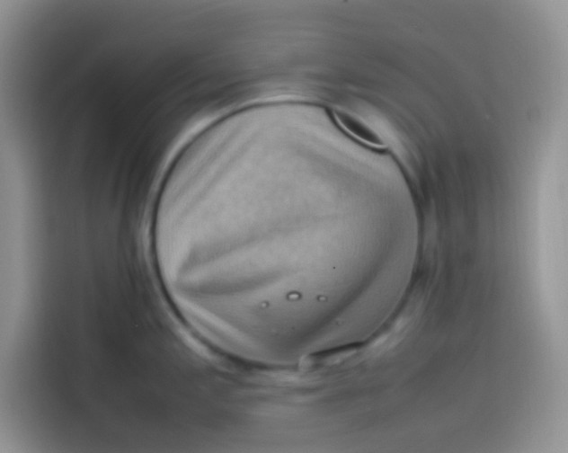 X0000113781197200910141032