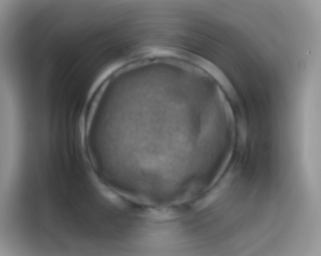 X0000113781198200910141032