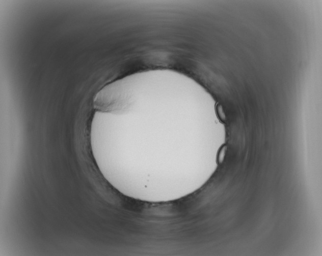 X0000113781201200910141031