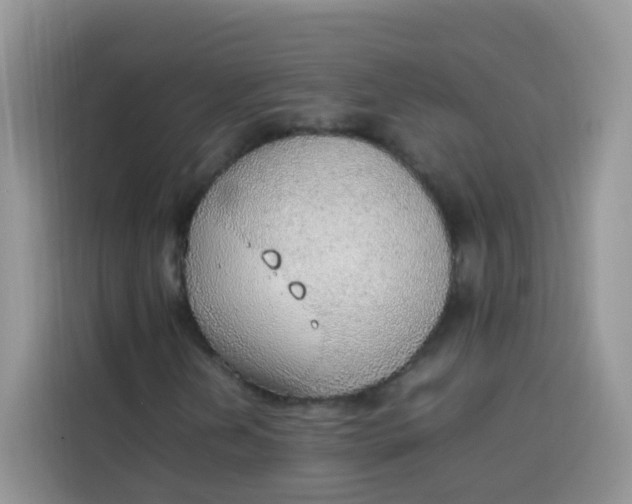 X0000113781202200910141031