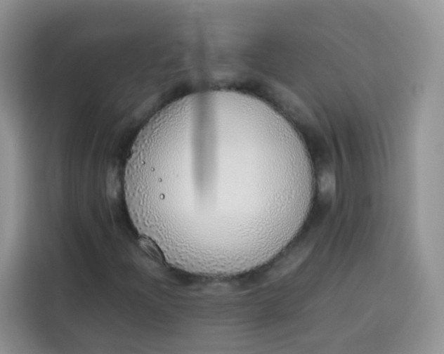 X0000113781204200910141031