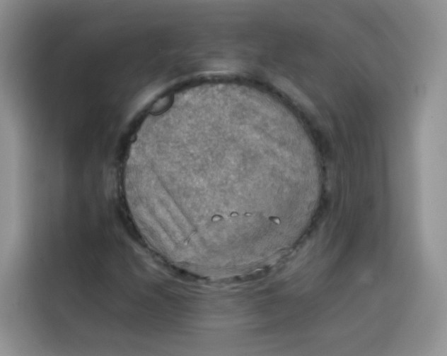 X0000113781208200910141031