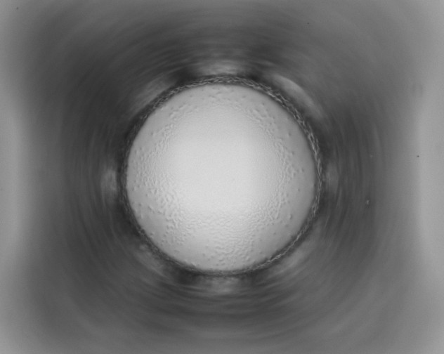 X0000113781209200910141031