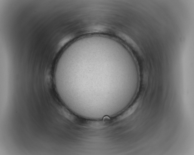 X0000113781210200910141031