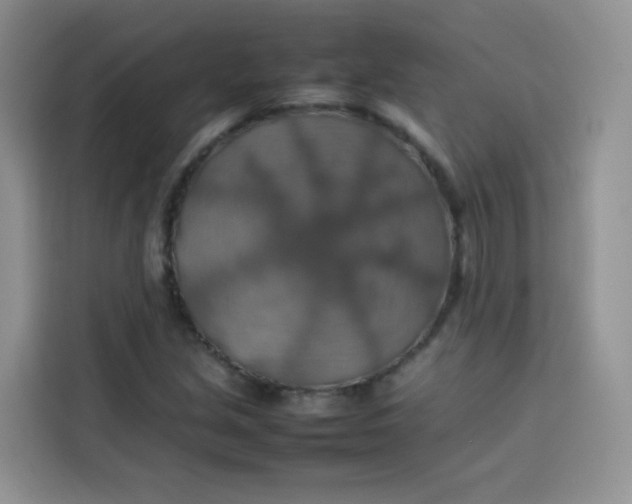 X0000113781213200910141031