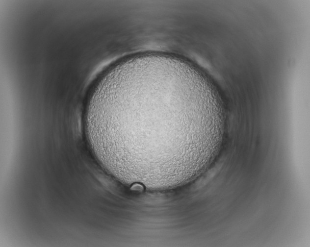 X0000113781214200910141031