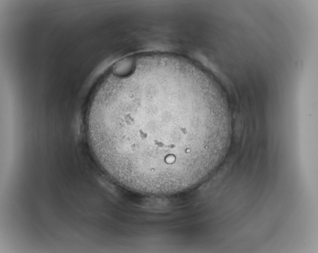 X0000113781215200910141032