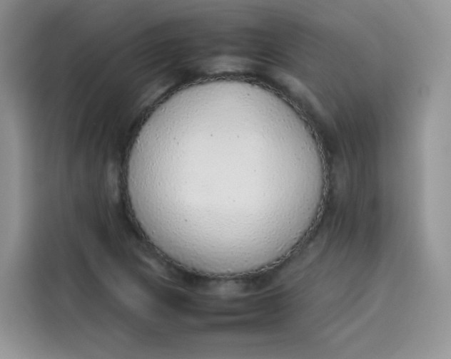 X0000113781217200910141032