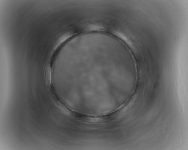 X0000113781219200910141032