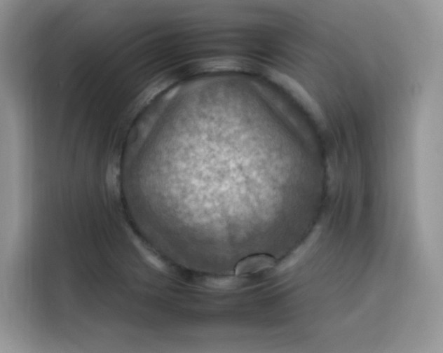 X0000113781225200910141032