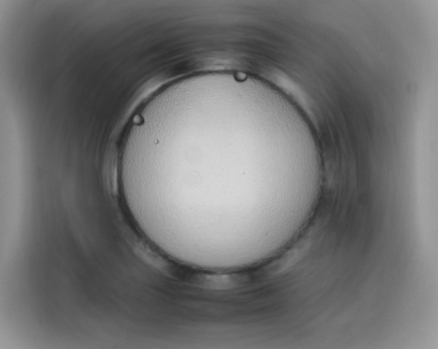 X0000113781227200910141032