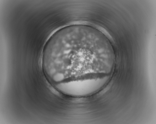 X0000113781228200910141032