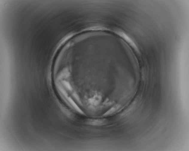 X0000113781229200910141032